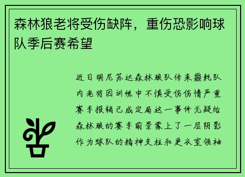 森林狼老将受伤缺阵，重伤恐影响球队季后赛希望